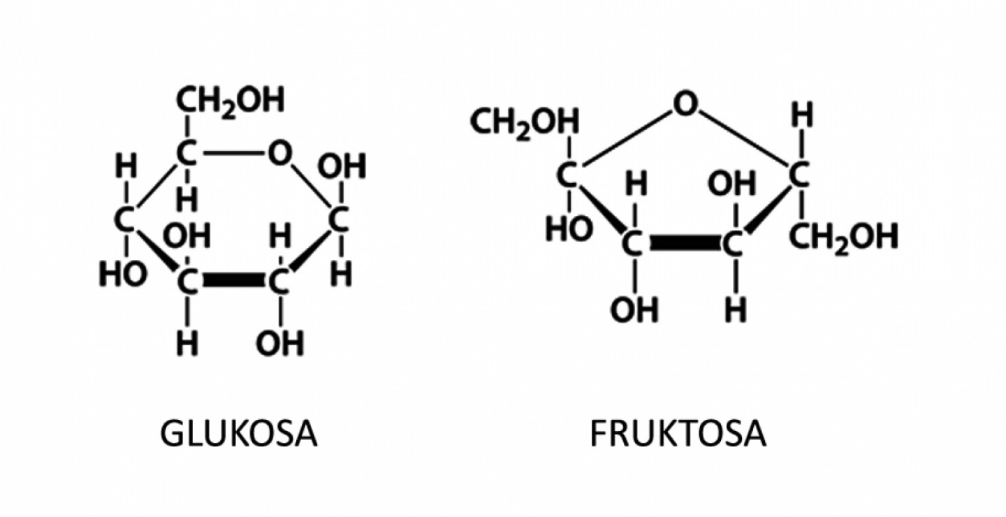 fruktosa dan glukosa